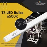 Buy T8 LED Bulbs 6500K For Indoor Lighting