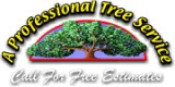 Professional Tree Service Lexington KY