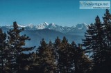 Dharamshala Tour Package