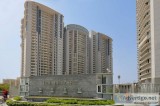 dlf the belaire for rent in gurgaon  luxury apartments in dlf th