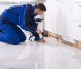 Looking for pest control services in Sandhurst