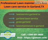 Professional Lawn maintenance and Lawn care service in GarlandTX