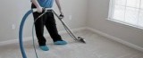 Are you searching for the best carpet cleaning company