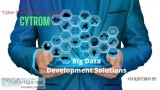 Big data development solutions