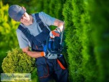 Professional Gardening Services in Brier WA