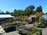 Hire the best Professional landscape gardeners with New Dungenes