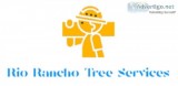 Rio Rancho Tree Services