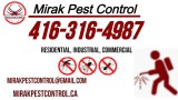 Affordable pest control services toronto