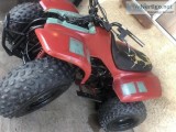 Suzuki Lt50 Quadsport