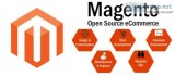 Opt for Our Magento Ecommerce Development Services