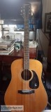 Acoustic guitar- FT-140