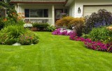 DC Landscape Design Services