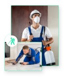 Pest Control Services Brisbane  Thepestandtermitecom pany.com.au