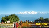 Amazing Darjeeling Tour Package from NatureWings