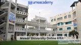 Mewar University Online MBA