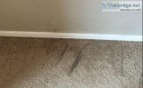 Best Carpet Water Damage Melbourne -Master Carpet Repair Melbour