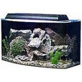 fish tank big size