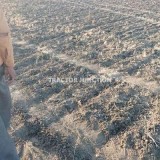 Agricultural Property at a Reasonable Price in India