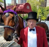 Central Park Carriages