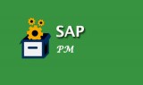 Best sap pm online training in india