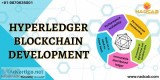 Hyperledger development