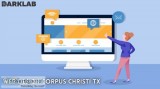 Web design corpus christi tx