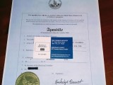 EXPRESS POWER OF ATTORNEY APOSTILLE SERVICES (Any Language)