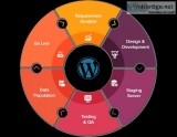 Why Hire Wordpress Developer India for your Website