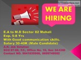 WE ARE HIRING FOR  E.A to M.D