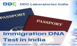 Best immigration dna test in india