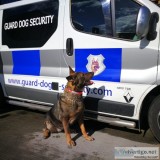 Business protection with dogs dorking | guard dog security