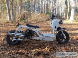 For sale Icebear Mad Dog 50cc scooter moped pmz50-19