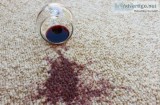 Pet stain removal perth