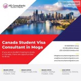 Canada student visa consultant in moga