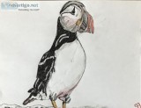 Puffin Bird GG &ndash 8&rdquo x 11&rdquo Colored Pencil