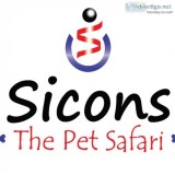 Best Pet Shop in Delhi