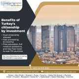 Dm citizenship by investment