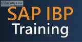 Sap ibp online training