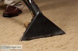 Carpet cleaning coogee