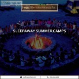 Overnight Summer Camp  Swift Nature Camp