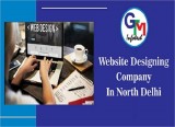 Website Designing Company in North Delhi