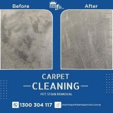 Carpet Cleaning