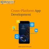 Develop your cross-platform app with industry experts