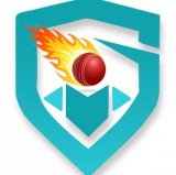 Play cricket online