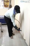 Bed bug control service in mumbai