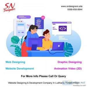 Custom website designing in ludhiana