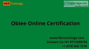 Obiee training ( flat 20% off ) online certification course