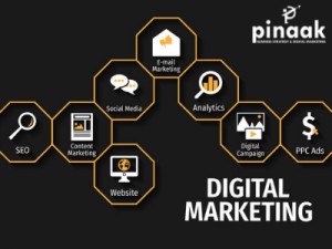 Best digital marketing company in chandigarh, india