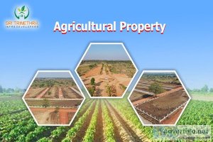 agricultural property for sale Trinetra Developer