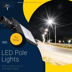 Buy Now LED Pole Lights at Low Price